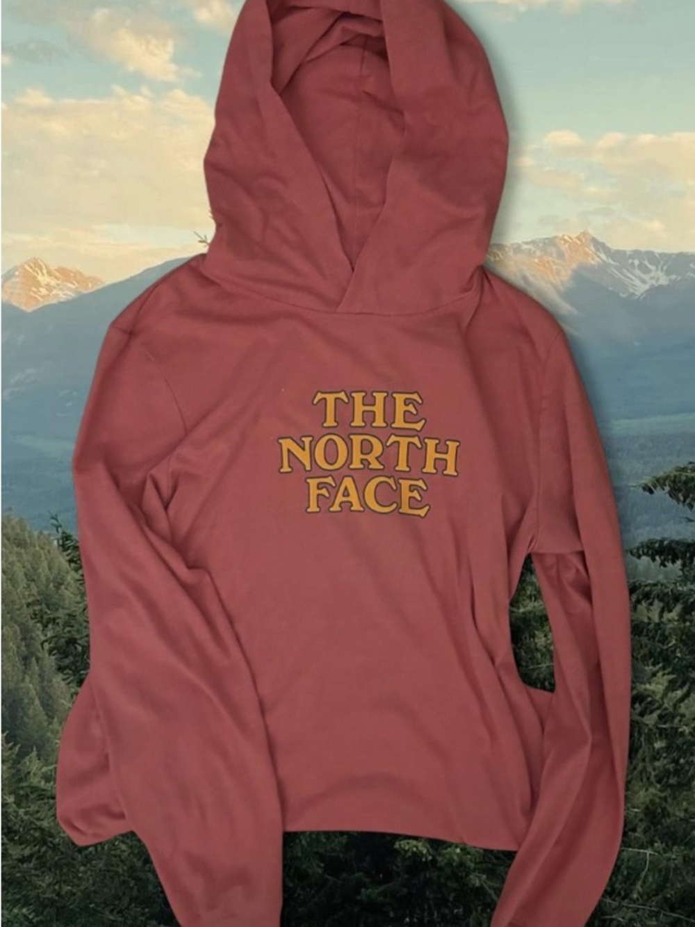 The North Face pink hoodie Size S